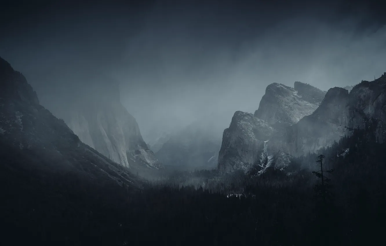 Фото обои зима, лес, небо, снег, горы, природа, туман, скалы