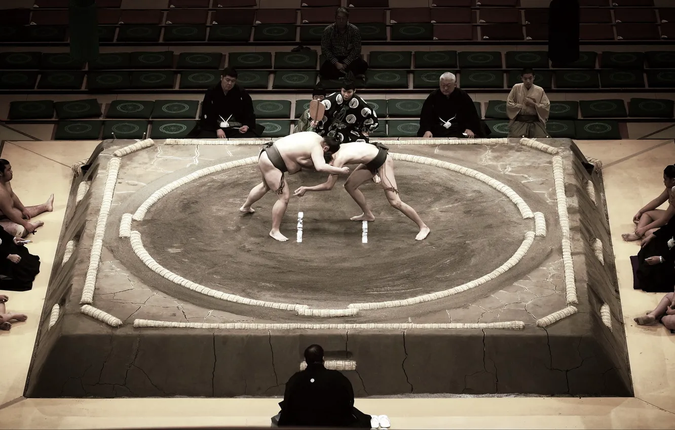Фото обои спорт, борьба, сумо