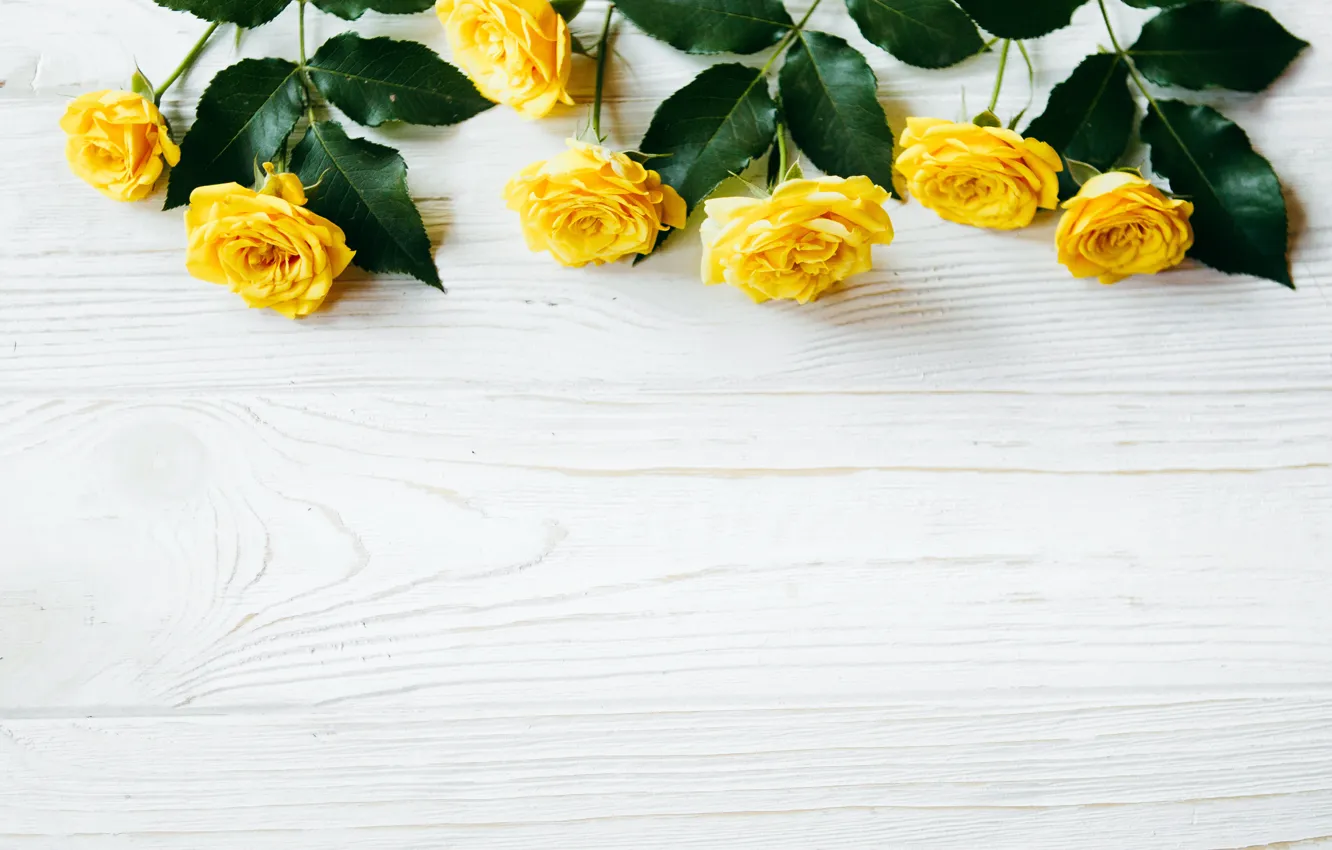 Фото обои цветы, розы, желтые, summer, yellow, wood, flowers, roses