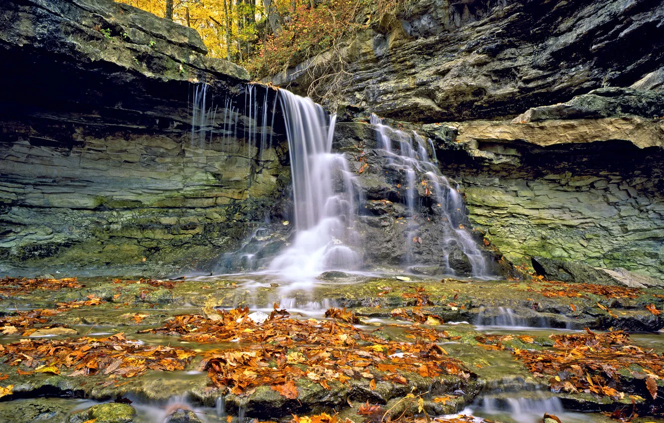 Фото обои осень, листья, водопад