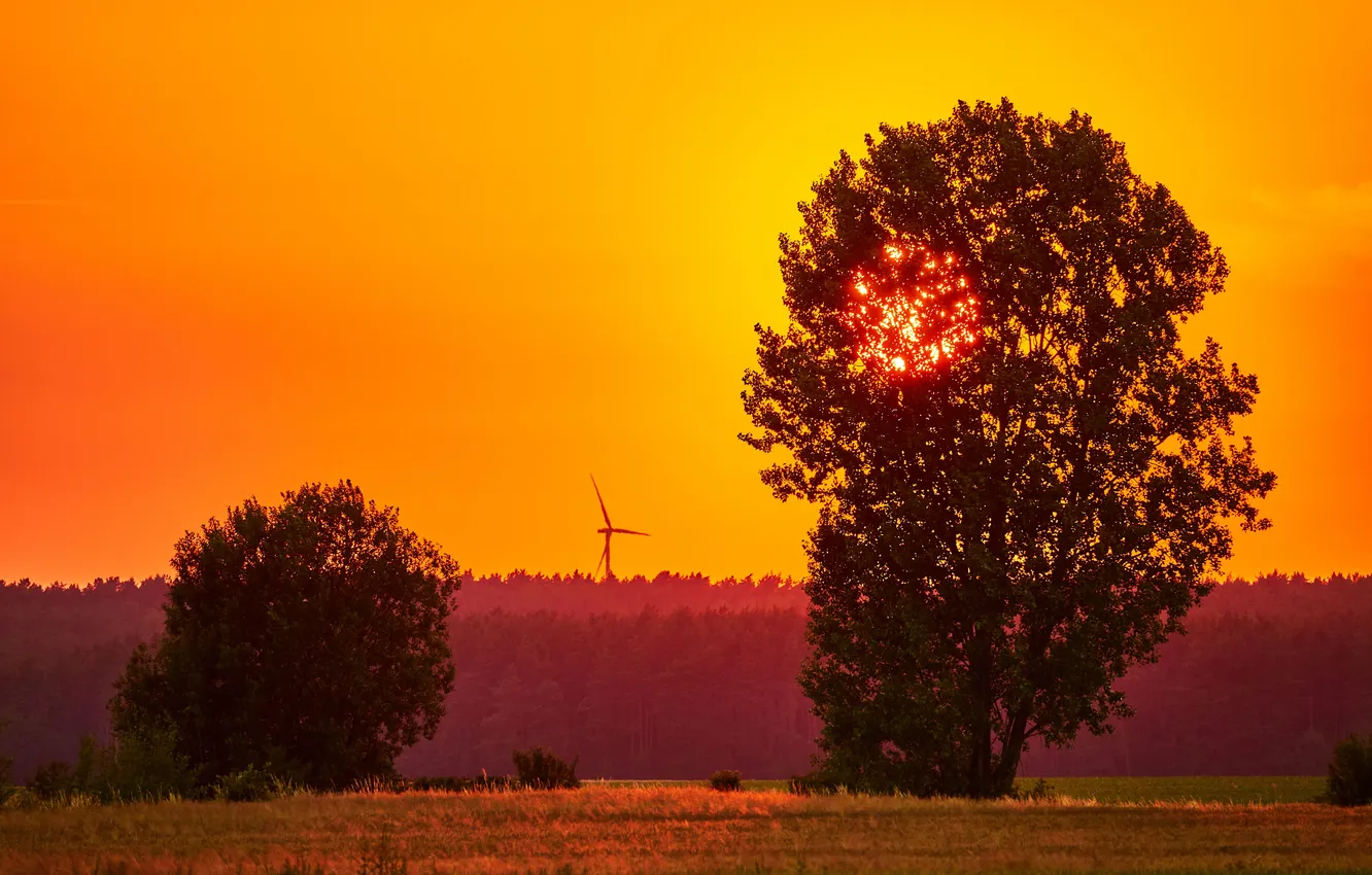 Фото обои summer, landscape, sunset, three
