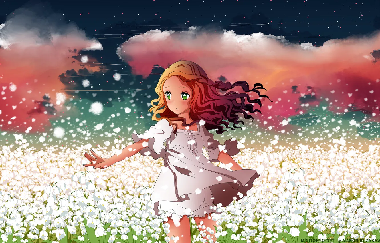 Фото обои поле, небо, девушка, звезды, облака, цветы, аниме, лепестки
