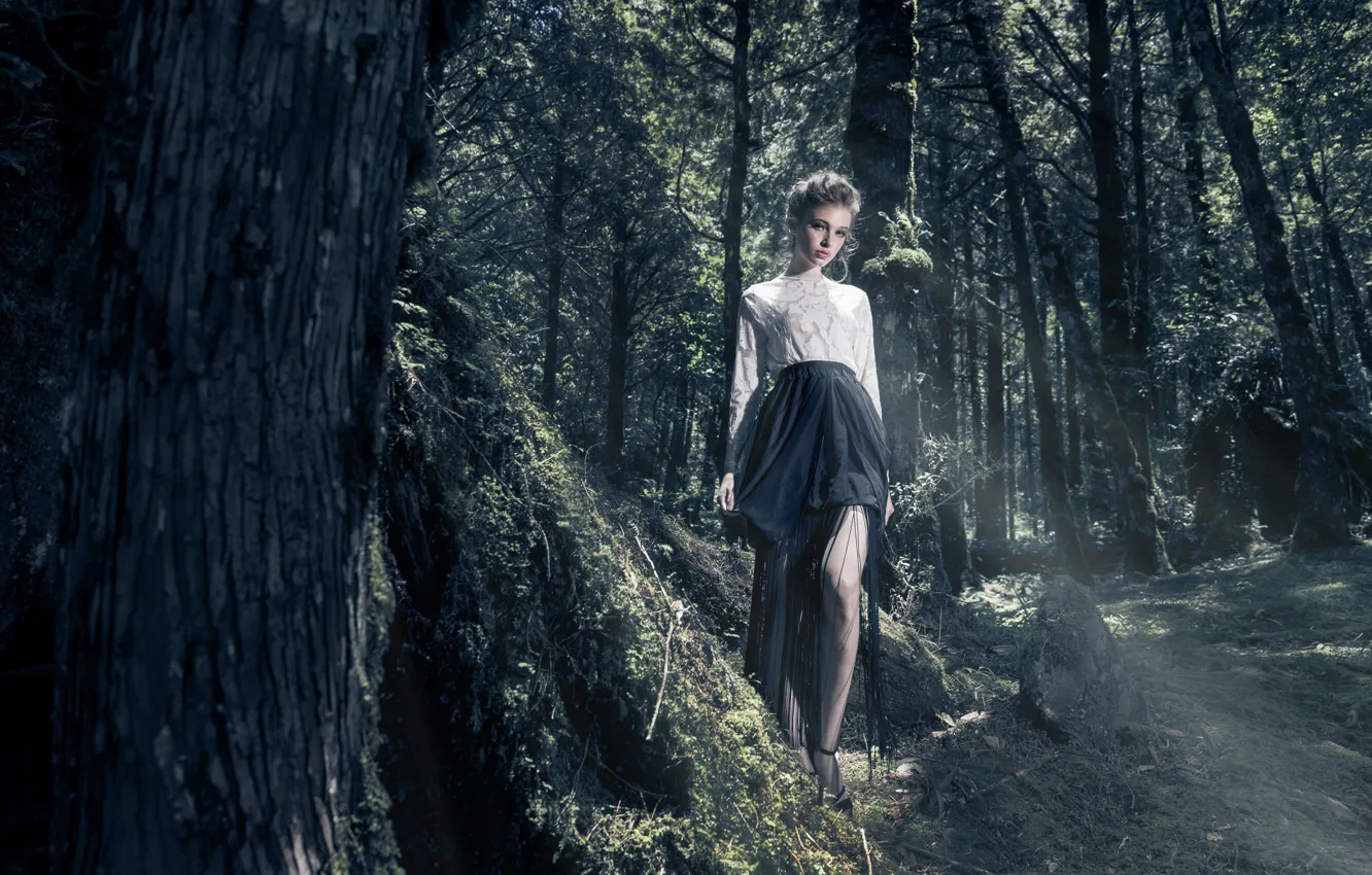 Фото обои лес, девушка, стиль, юбка, в лесу