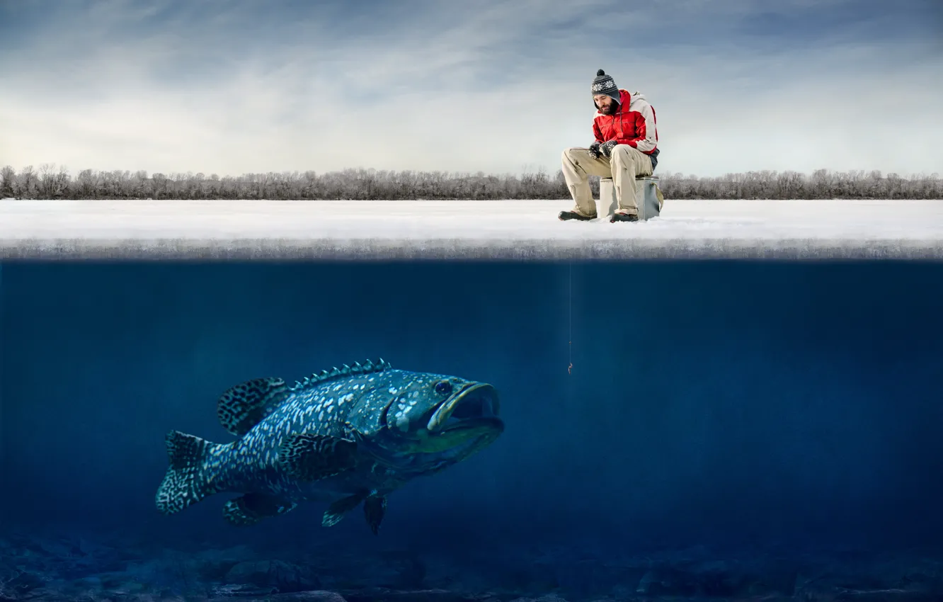 Фото обои лед, юмор, рыбак, ice, крючки, fisherman, humor, big fish