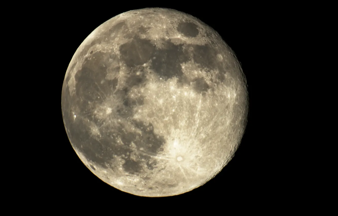 Фото обои moon, night, black and white
