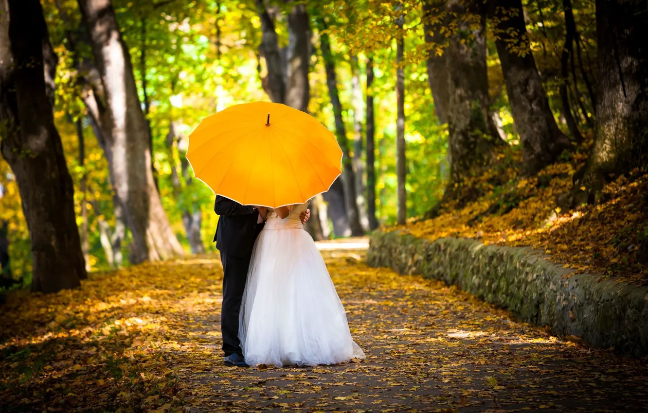 Фото обои осень, девушка, деревья, любовь, желтый, зонтик, обои, настроения