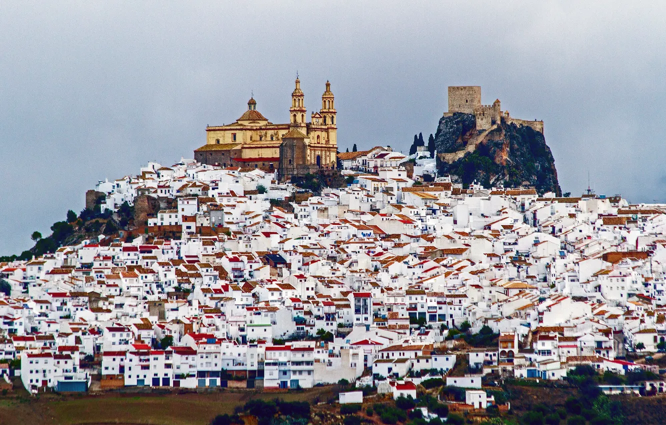 Фото обои замок, гора, дома, собор, Испания, Ольвера