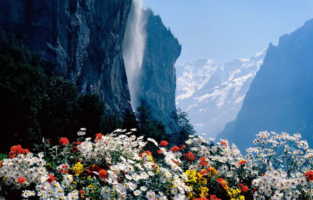 Фото обои Цветы, Водопад, Швейцария