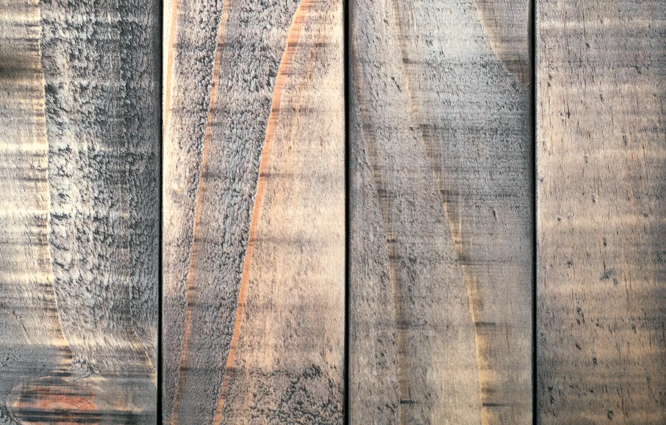 Фото обои цвет, текстура, wood