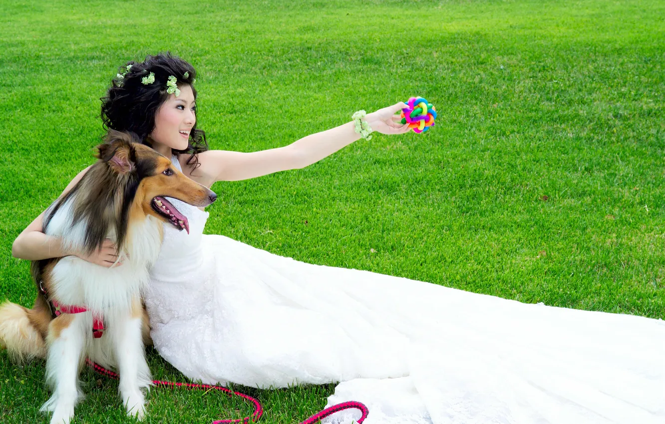 Фото обои девушка, лицо, белое, игрушка, рука, собака, профиль, азиатка