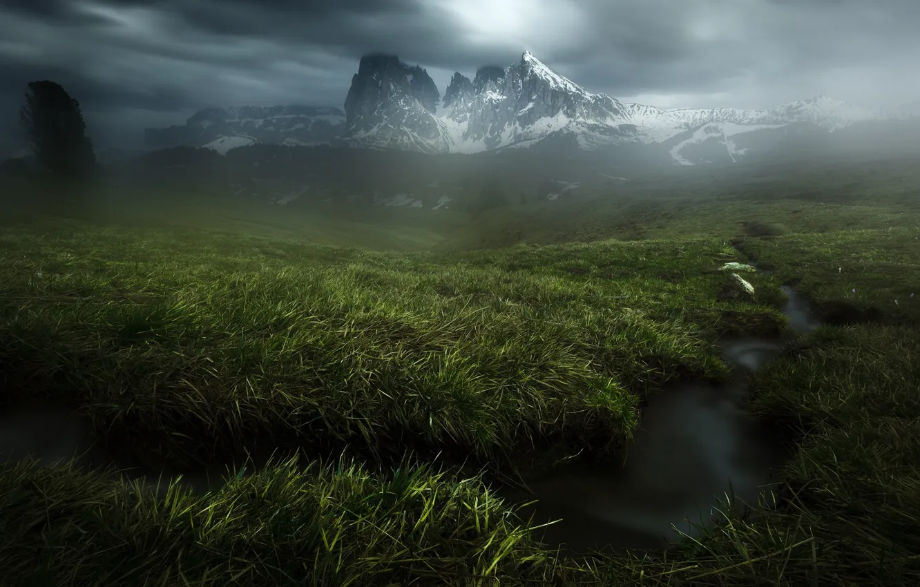 Фото обои зелень, трава, горы, туман, ручей, пасмурно, снежные вершины