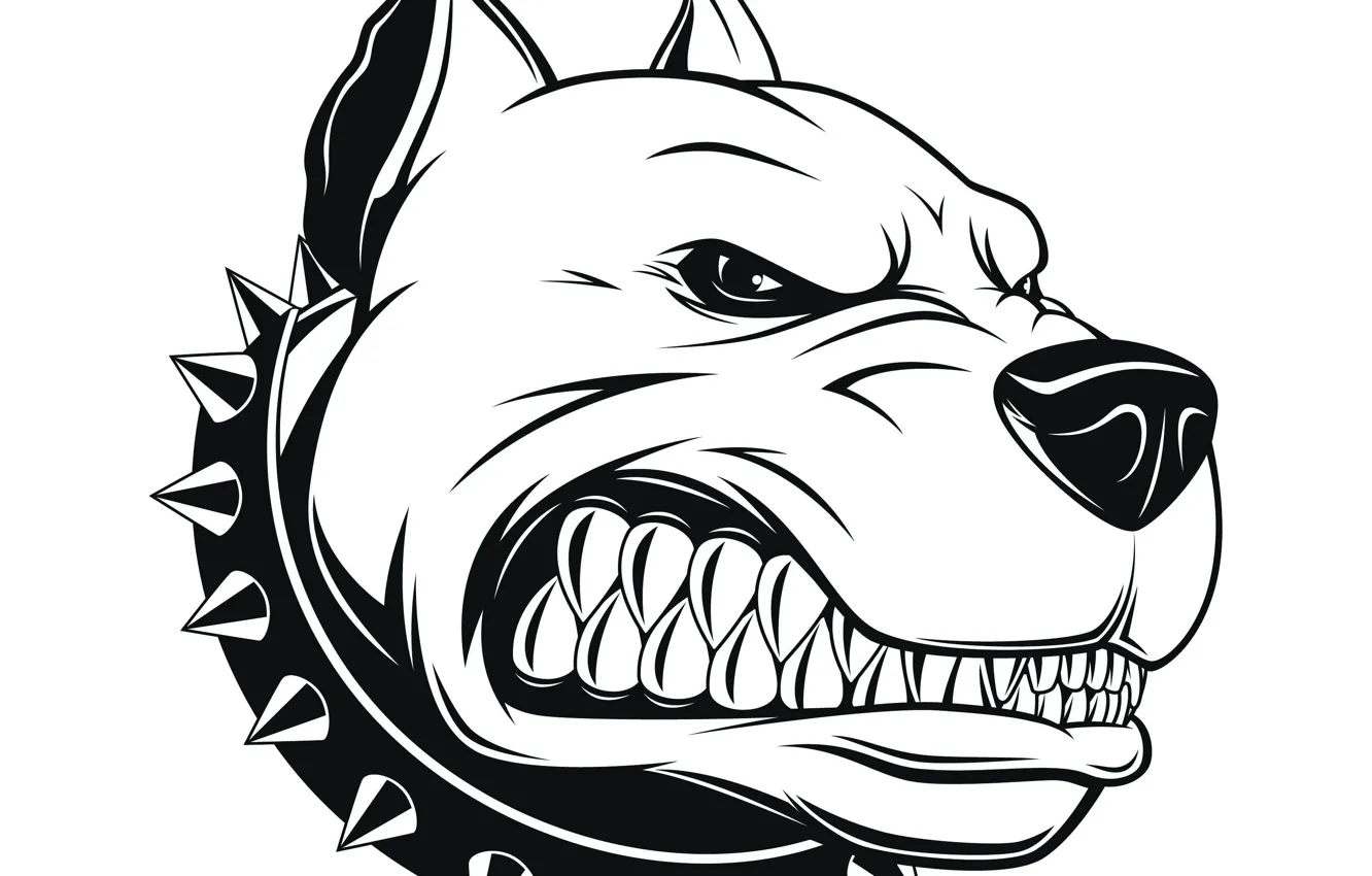 Фото обои арт, Pitbull, аватарка, Питбуль, angry dog, злой пес