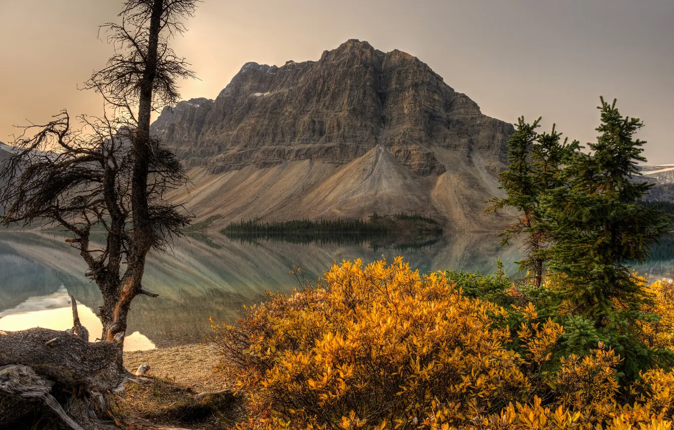 Фото обои гора, Канада, Альберта, Banff National Park, Alberta, Canada, кусты, Банф