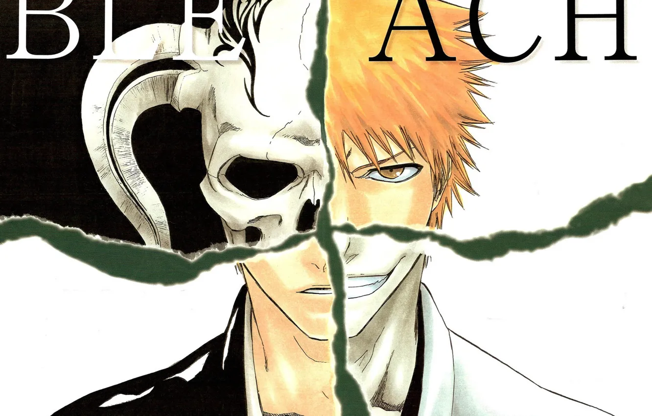 Фото обои Bleach, Блич, Ичиго Куросаки, Ichigo Kurosaki, маска пустого, синигами, by Tite Kubo