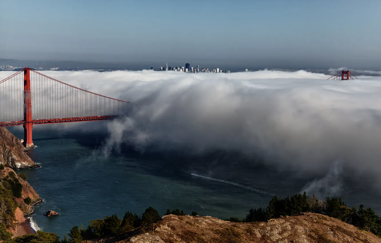 Фото обои город, туман, Калифорния, Сан-Франциско, США, San Francisco, Golden Gate вridge, висячий мост