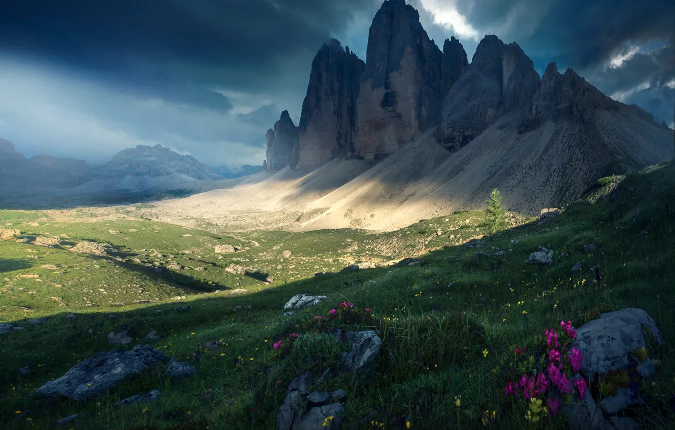 Фото обои трава, пейзаж, цветы, горы, тучи, природа, камни, Альпы
