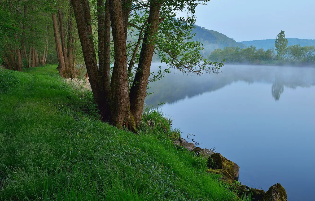 Фото обои grass, trees, landscape, nature, rocks, morning, River, mist