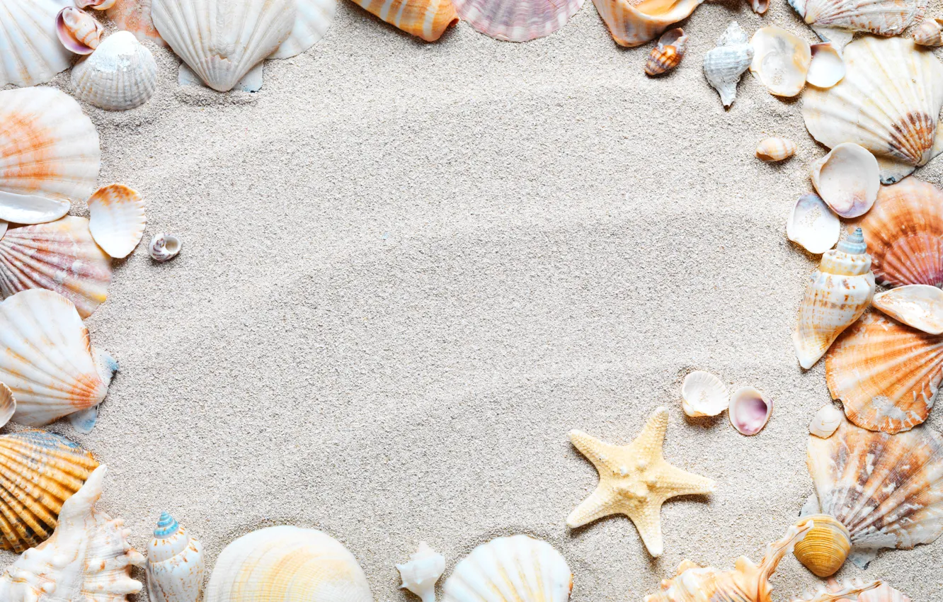 Фото обои песок, пляж, рамка, ракушки, sand, starfish, seashells