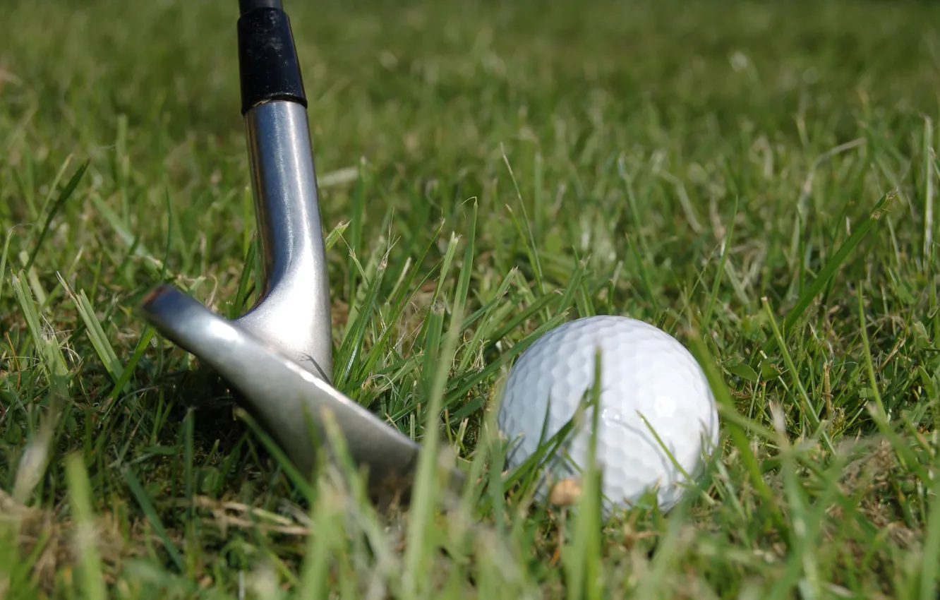 Фото обои трава, макро, мяч, клюшка, гольф