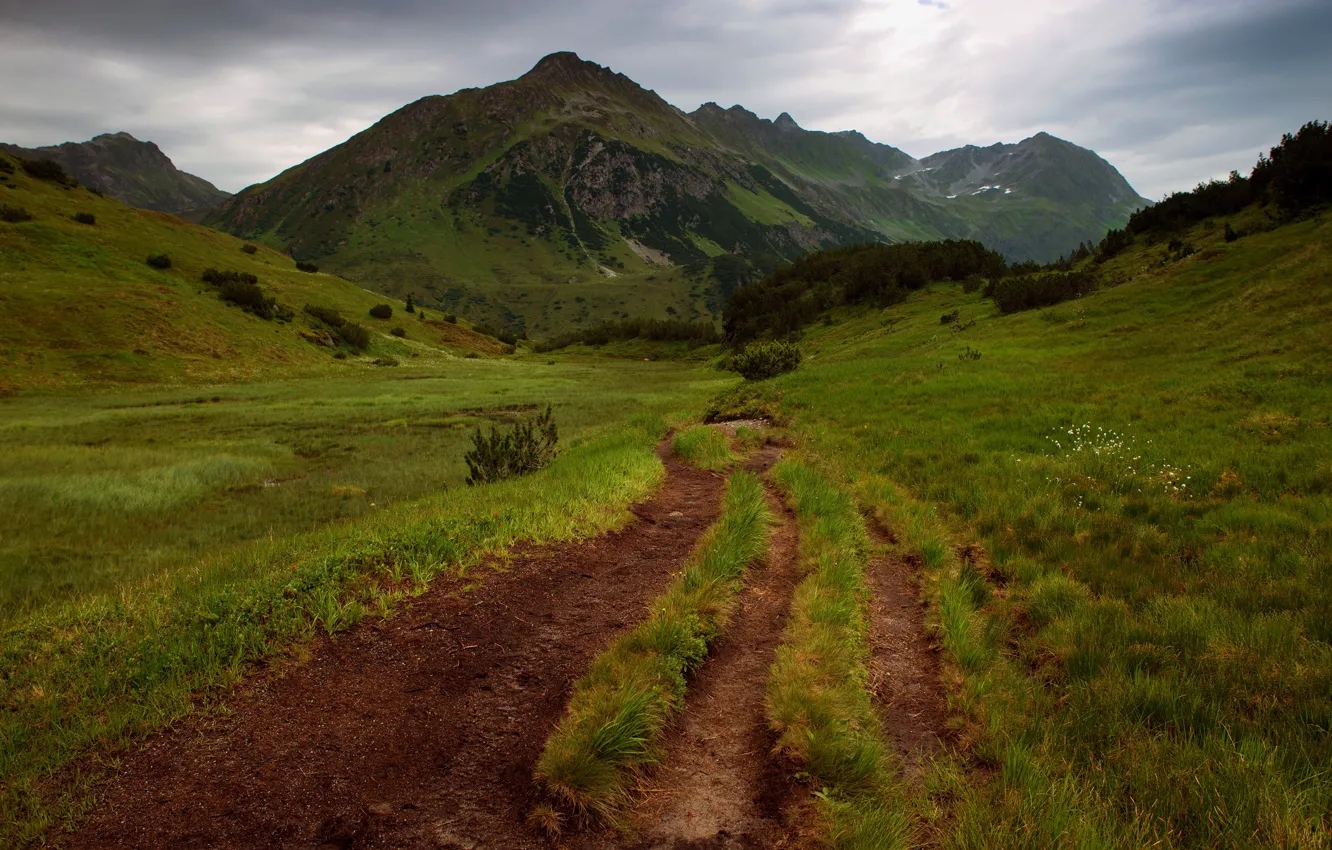 Фото обои дорога, горы, зеленый, путь, холмы, тропинка
