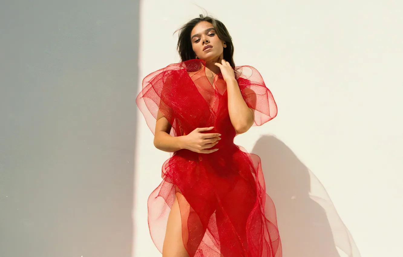Фото обои девушка, поза, фото, фигура, платье, актриса, Hailee Steinfeld