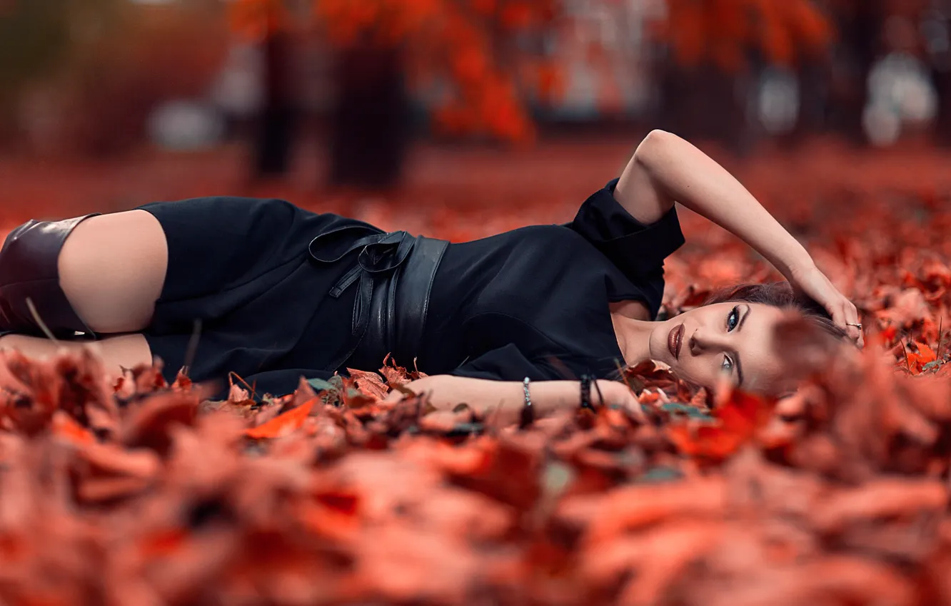 Фото обои осень, листья, девушка, парк, платье, лежит, красивая, в черном