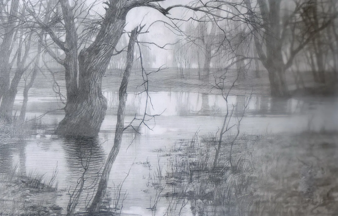 Фото обои деревья, туман, рисунок, карандаш