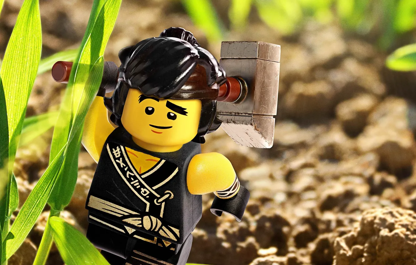 Фото обои Lego, Cole, animated film, animated movie, The Lego Ninjago