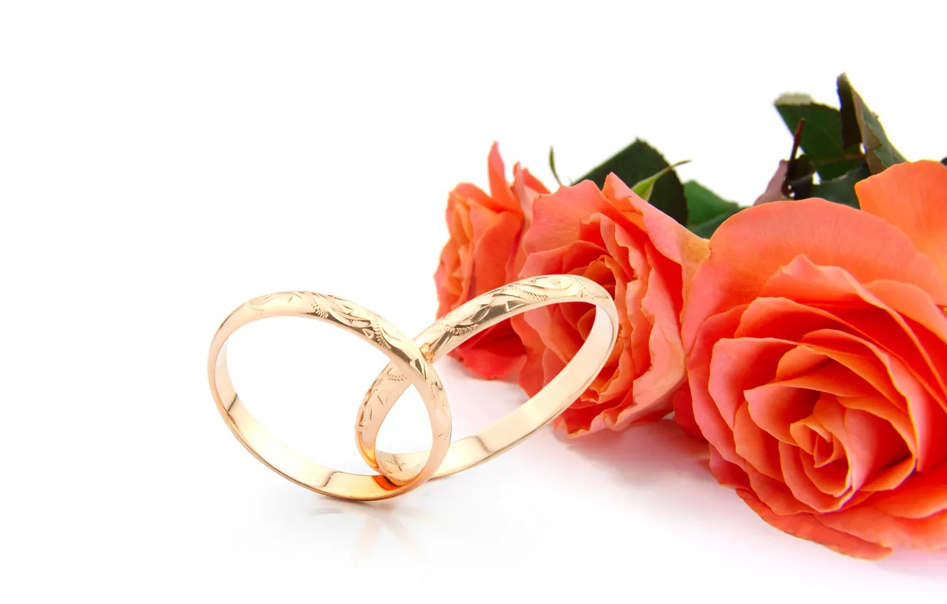 Фото обои цветы, розы, flowers, обручальные кольца, roses, wedding rings