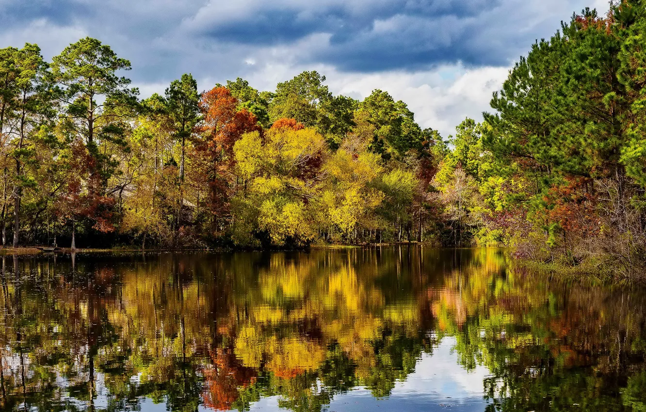 Фото обои осень, лес, небо, вода, солнце, облака, деревья, отражение