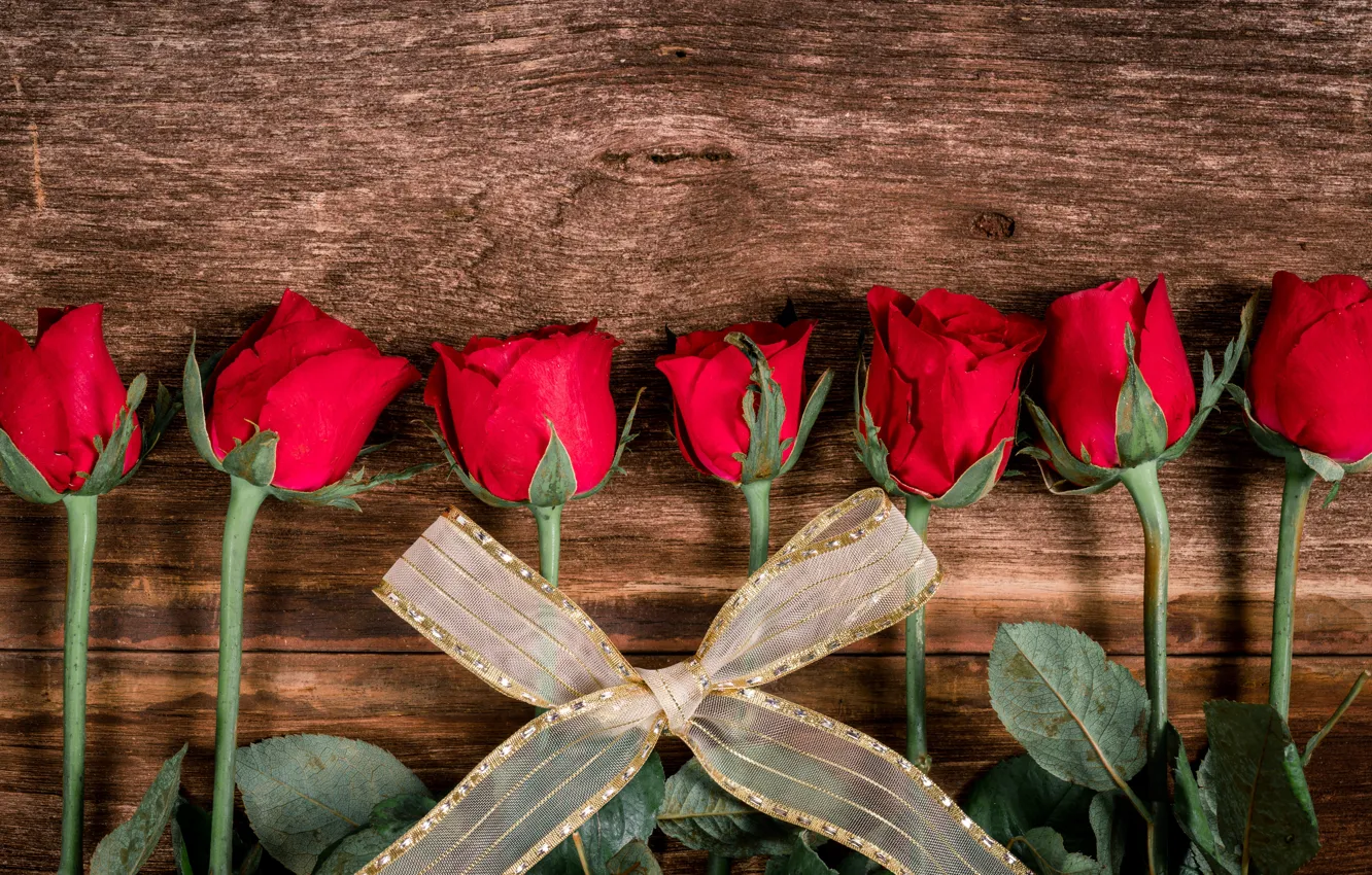 Фото обои цветы, розы, букет, лента, красные, red, бант, бутоны