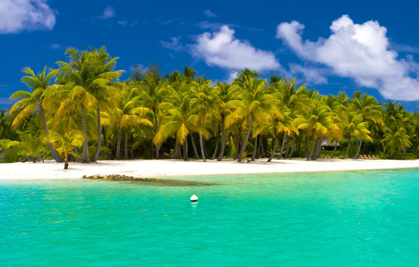 Фото обои пляж, пальмы, океан, курорт, белый песок, fantastic Maldives
