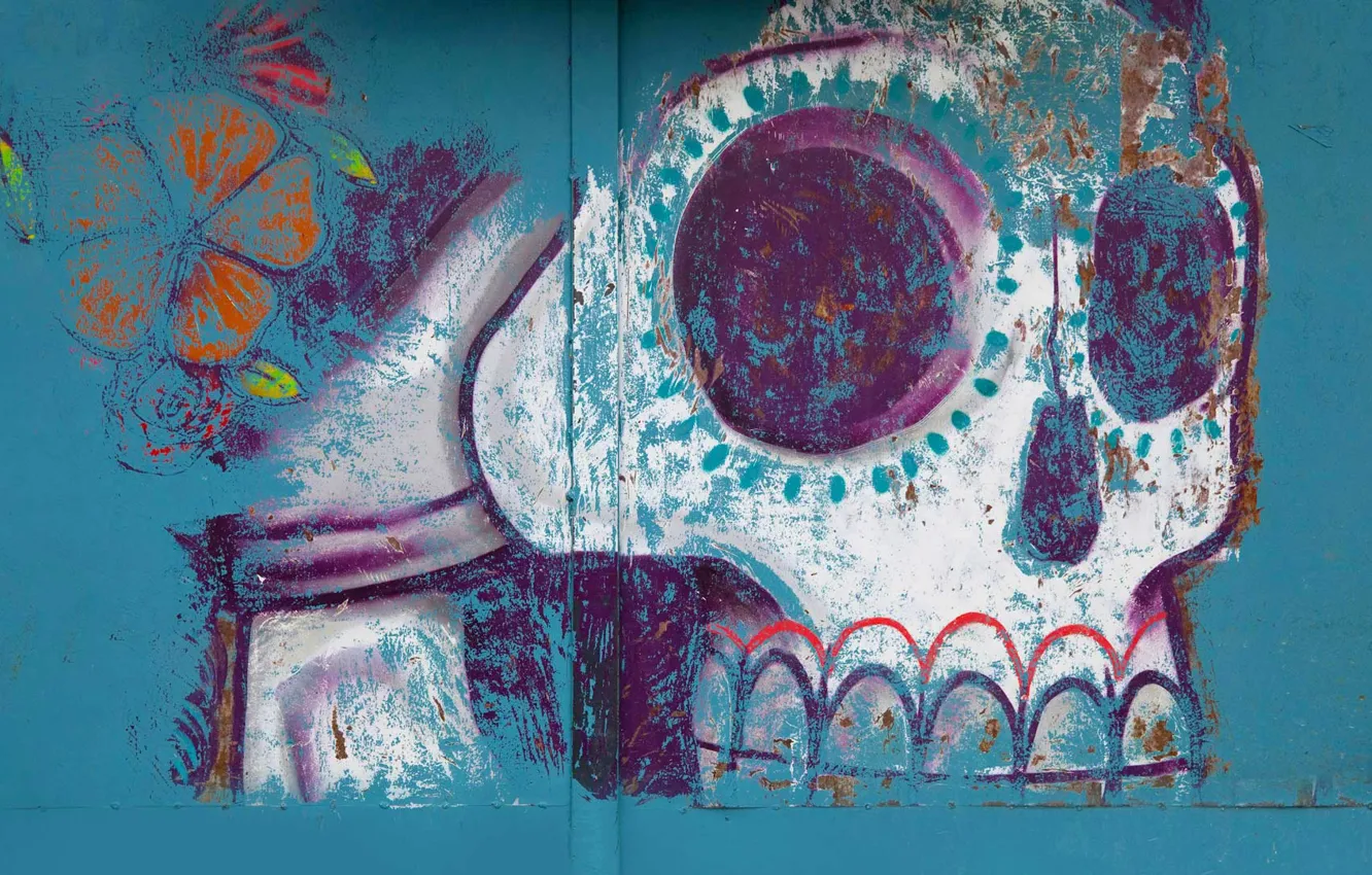 Фото обои рисунок, череп, Мексика, хэллоуин, роспись, Оахака