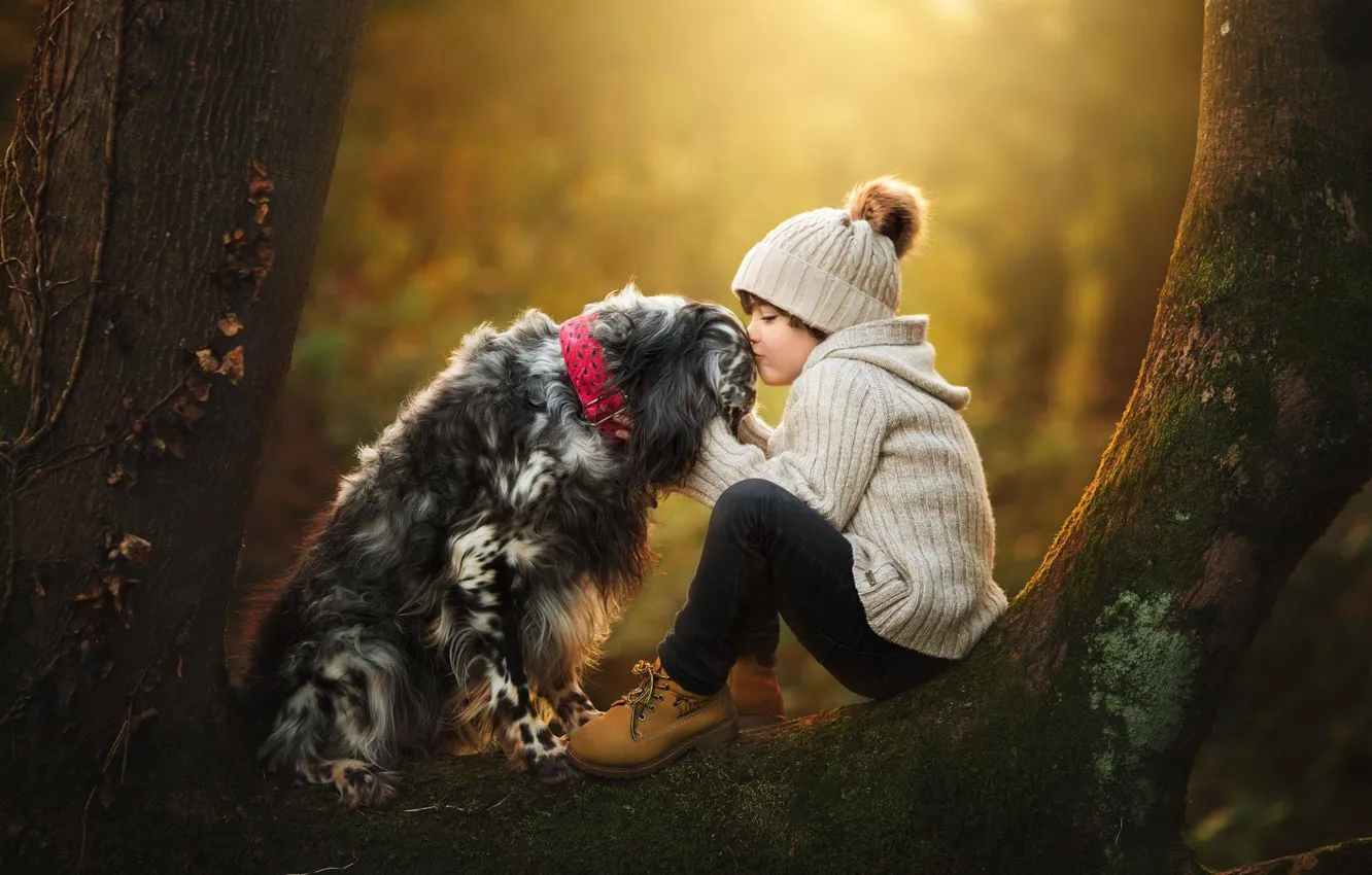 Фото обои дерево, настроение, поцелуй, собака, дружба, девочка, друзья