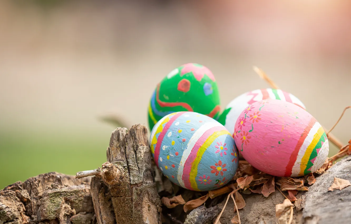 Фото обои яйца, Пасха, Easter