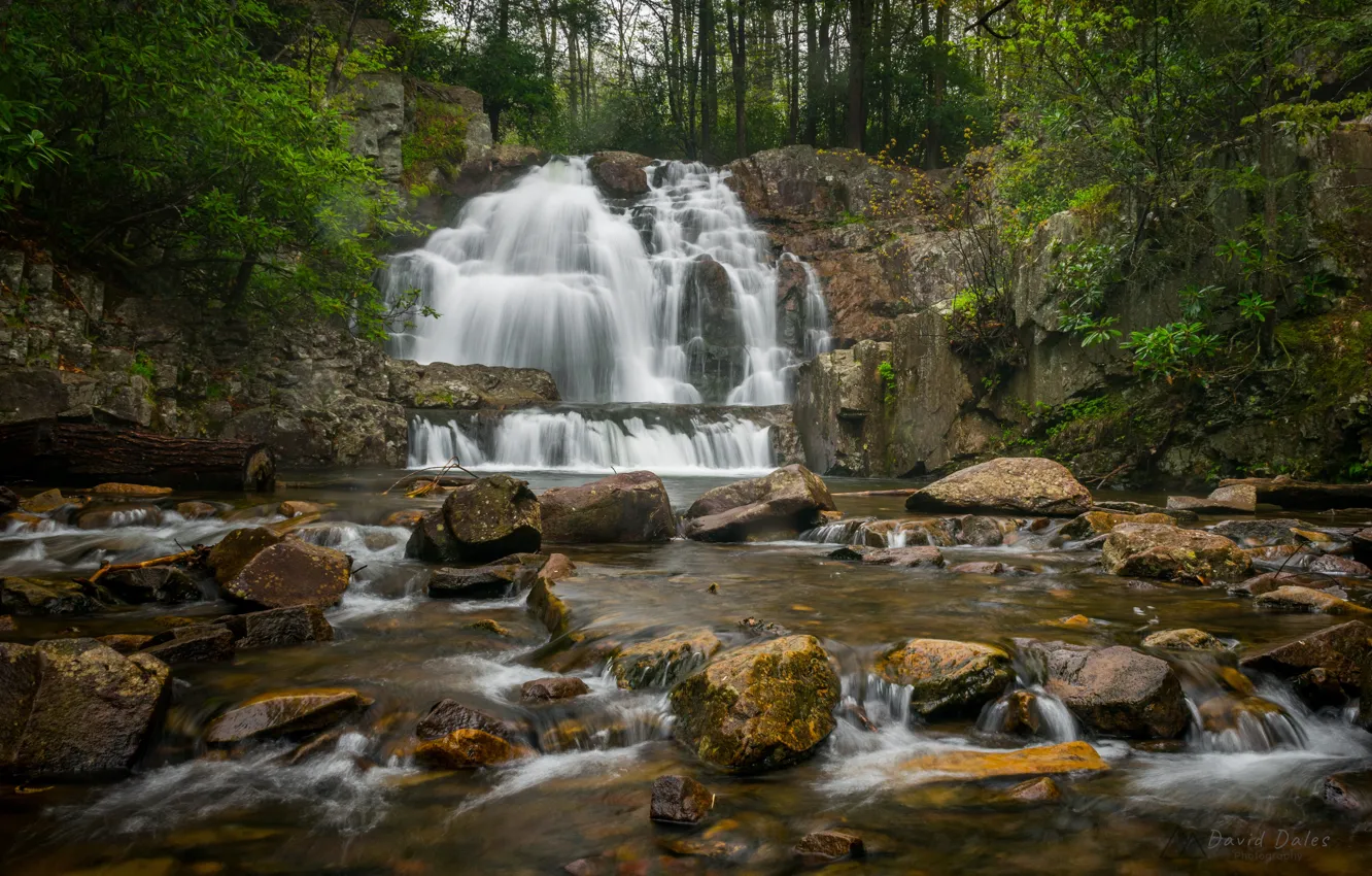 Фото обои лес, река, камни, водопад, Пенсильвания, каскад, Pennsylvania, Hawk Falls