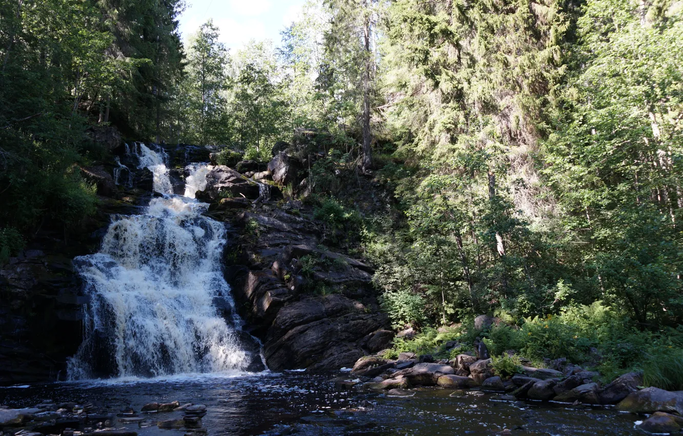 Фото обои лес, река, водопад, forest, river, waterfall