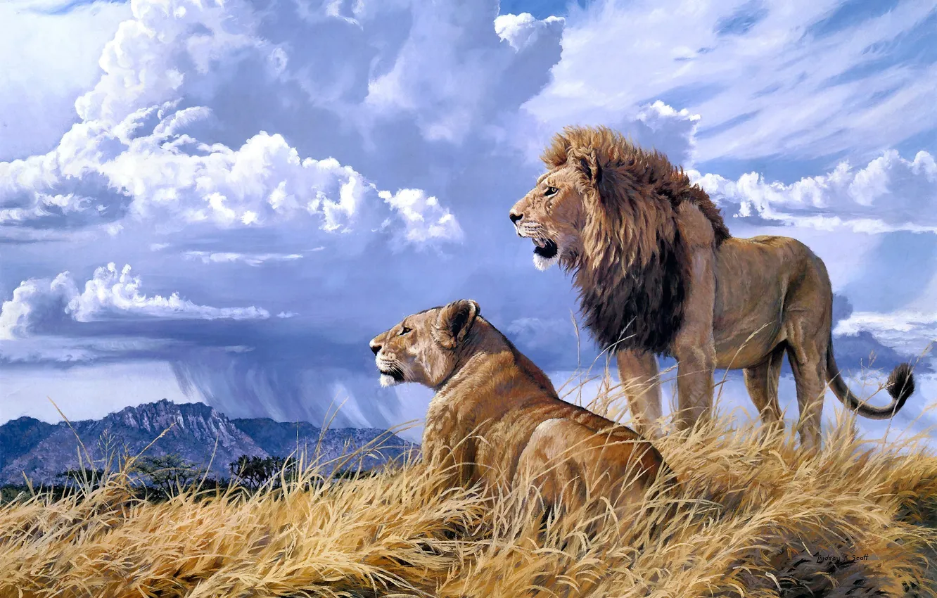 Фото обои животные, облака, гора, лев, живопись, львица, Lindsay B. Scott, Samburu Majesty