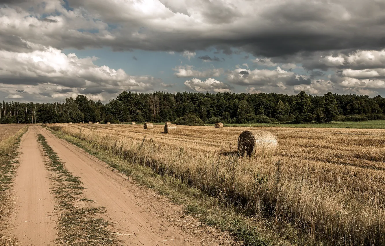 Фото обои дорога, поле, осень, сено