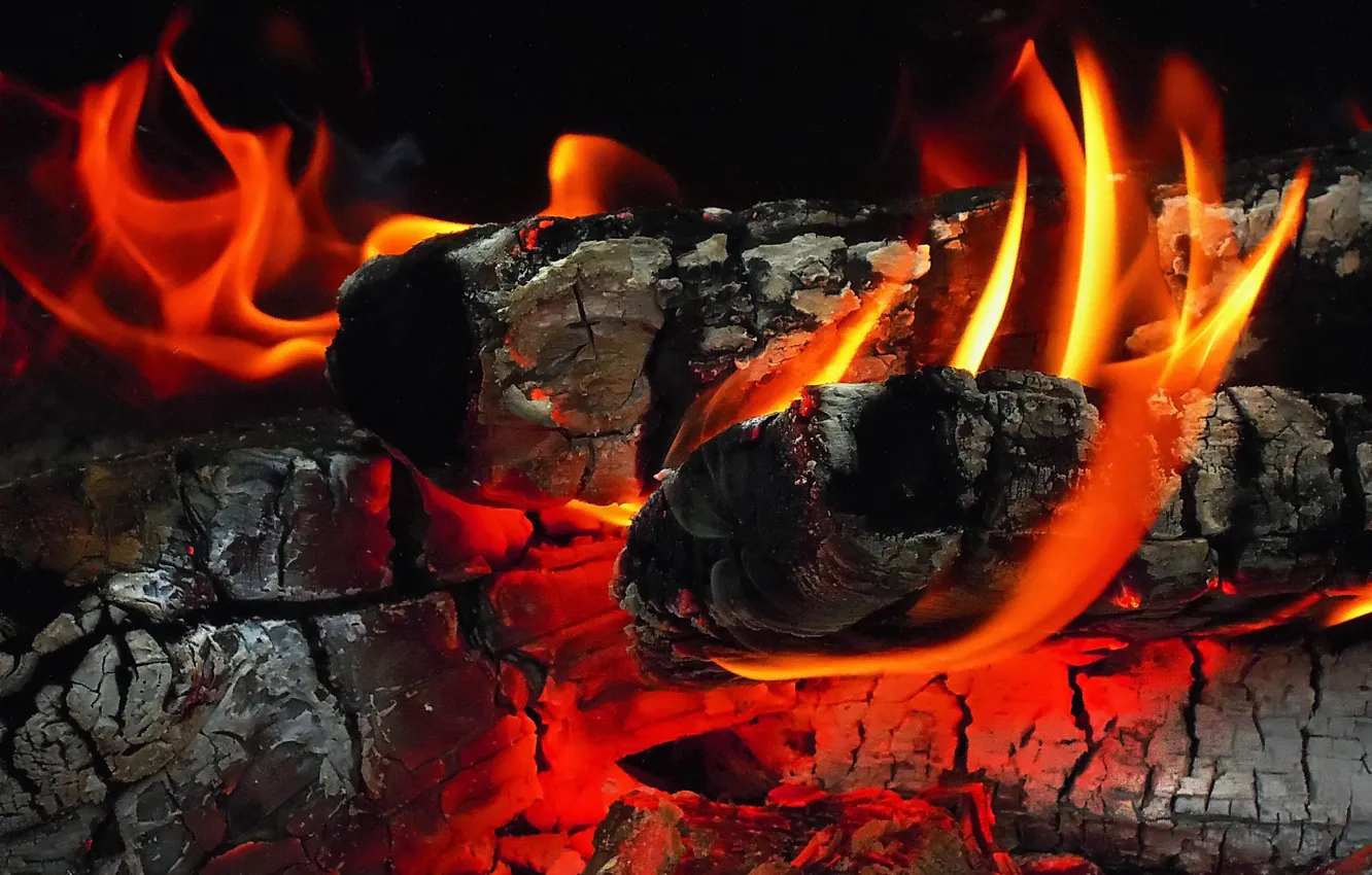 Фото обои пепел, огонь, дрова, угли, камин, костёр, пламень