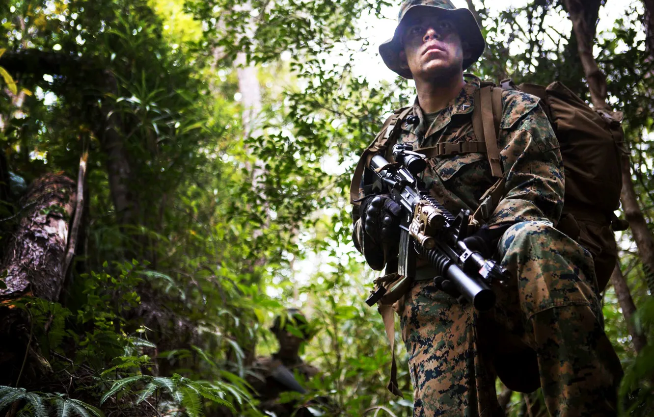 Фото обои лес, оружие, солдат, камуфляж