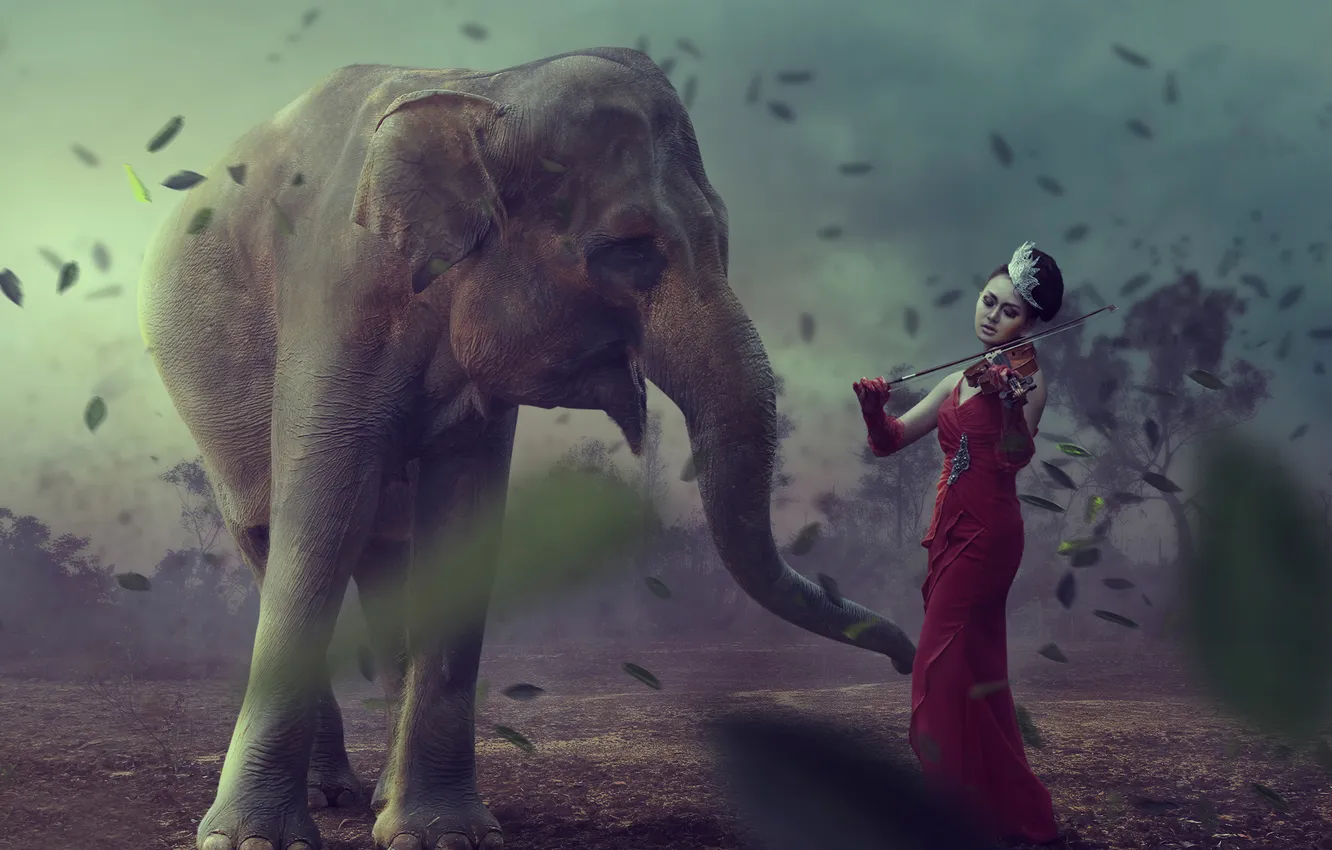Фото обои девушка, фантазия, скрипка, слон, арт, Earth Music