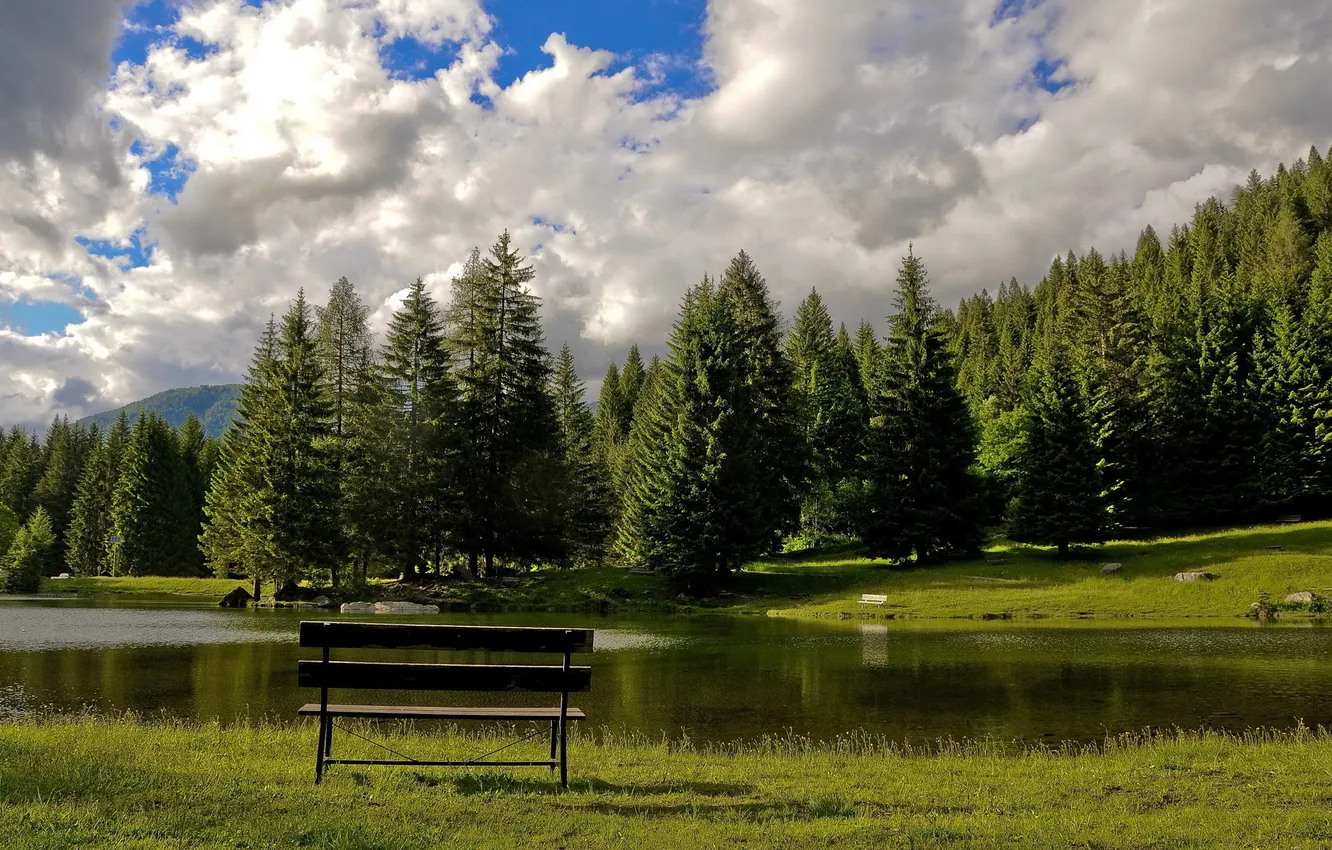 Фото обои лес, небо, трава, вода, облака, горы, скамейка, озеро