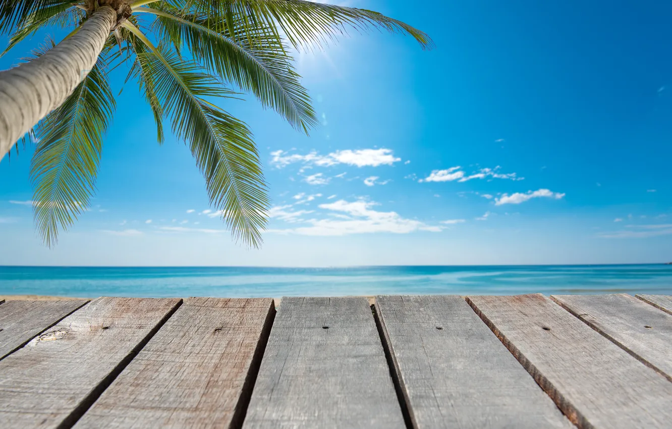Фото обои море, пляж, лето, небо, пальмы, summer, beach, sea
