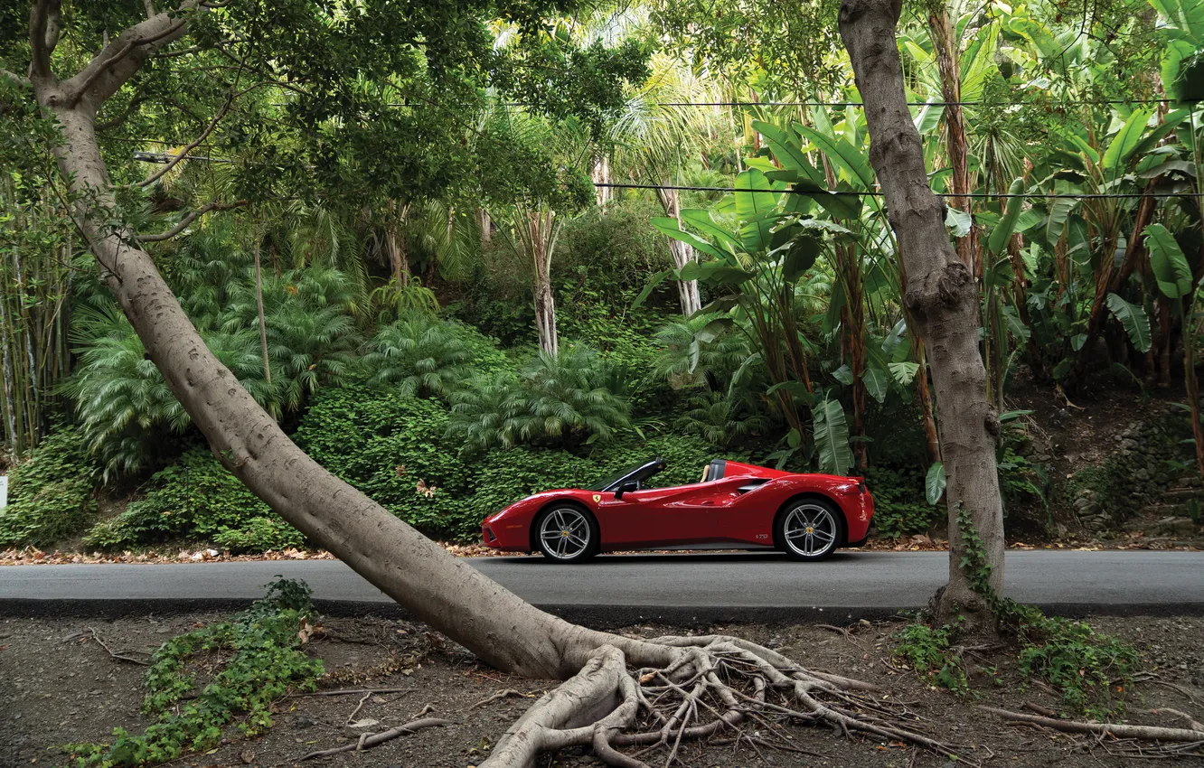 Фото обои Ferrari, 2017, 488, Ferrari 488 Spider 70th Anniversary