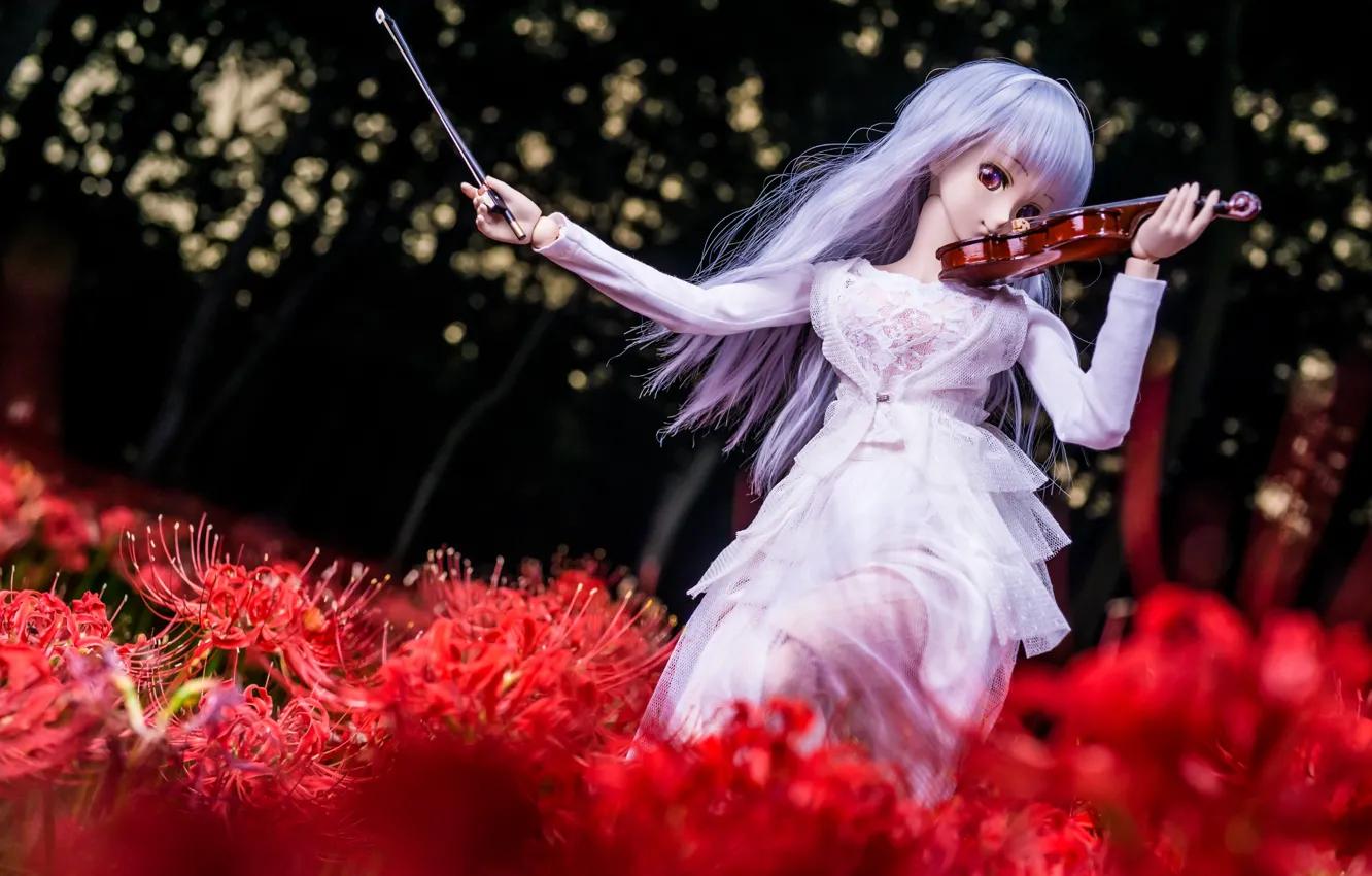 Фото обои девушка, цветы, скрипка, волосы, кукла