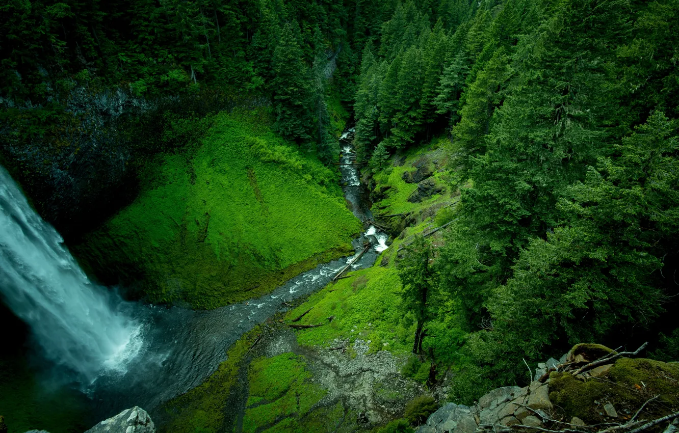 Фото обои лес, горы, река, фото, водопад