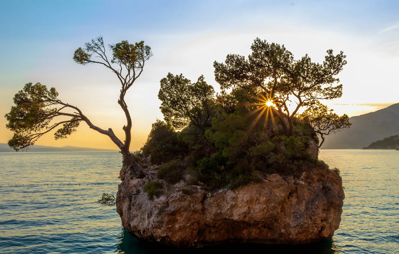 Фото обои море, небо, солнце, деревья, скала, побережье, залив, Хорватия