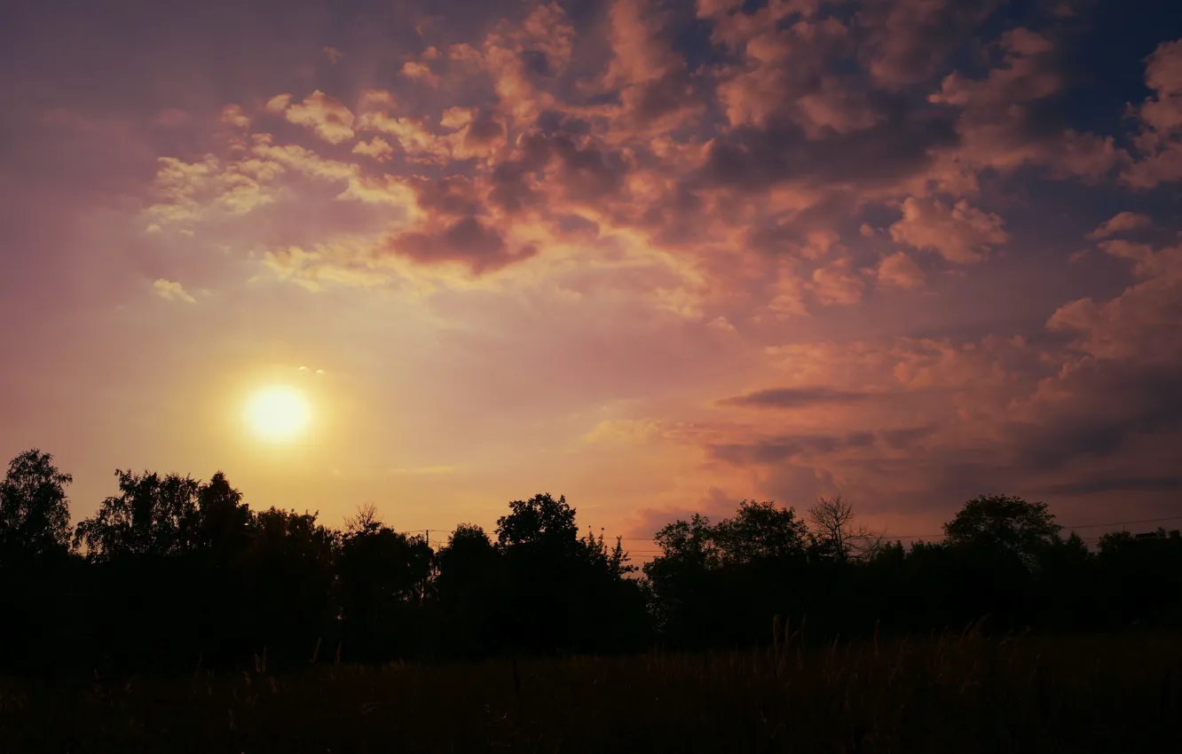 Фото обои поле, лес, солнце, облака, лучи, свет, закат, зарево