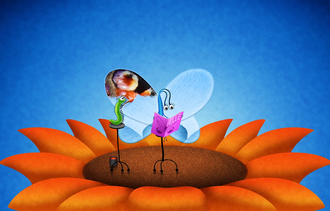 Фото обои цветок, гусеница, бабочка, крылья
